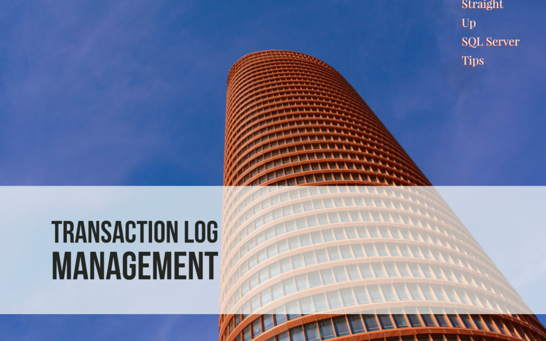 How To Manage The SQL Server Transaction Log File