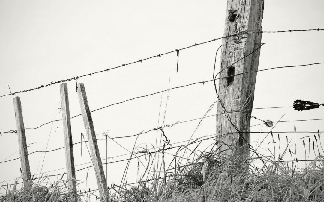 You are Free: Career Lessons from a farm fence
