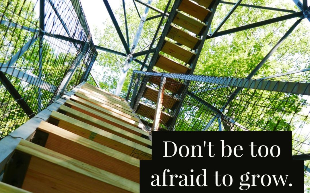 Don’t be too Afraid to Grow Your Career