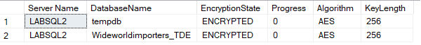 sql server database encryption check