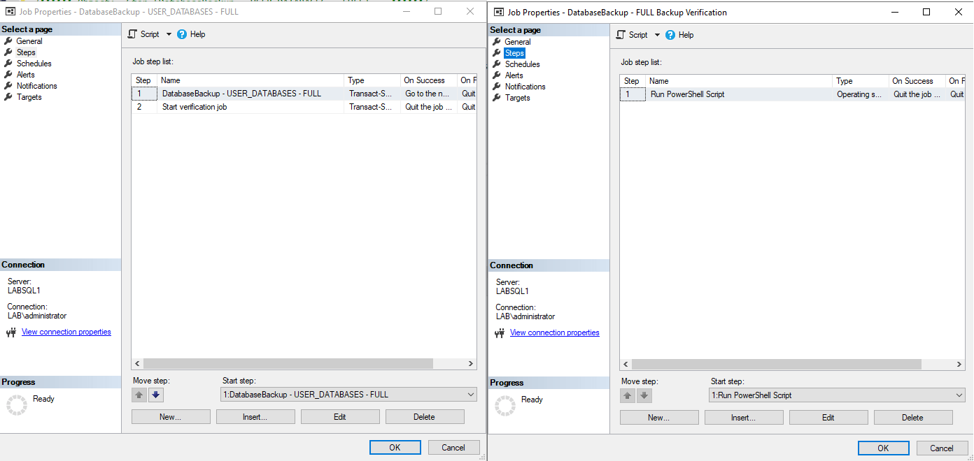 SQL Server backup verification job