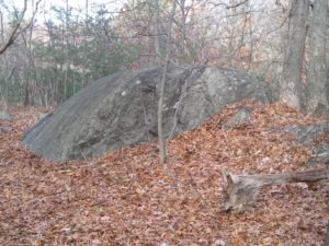 This is the mountain from my youth