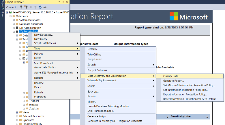 sql server data classification for compliance audit